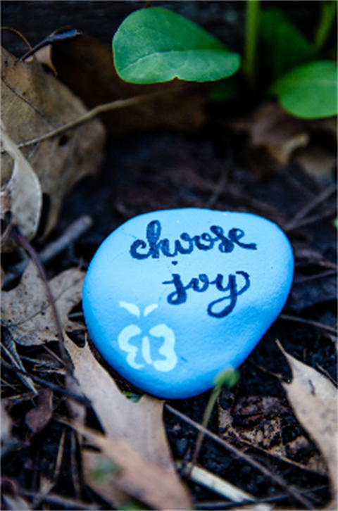 Rock painted blue with words choose joy