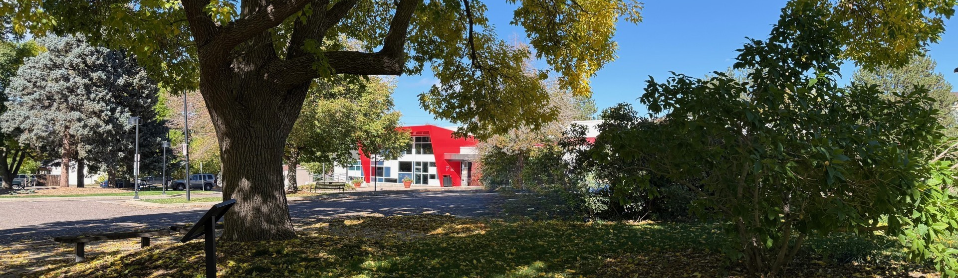 Bemis Public Library with fall foliage